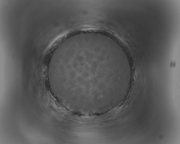 X0000113291351200909211054