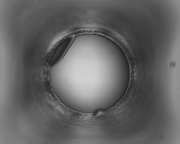 X0000113291352200909211054