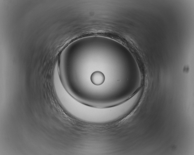 X0000113291353200909211054