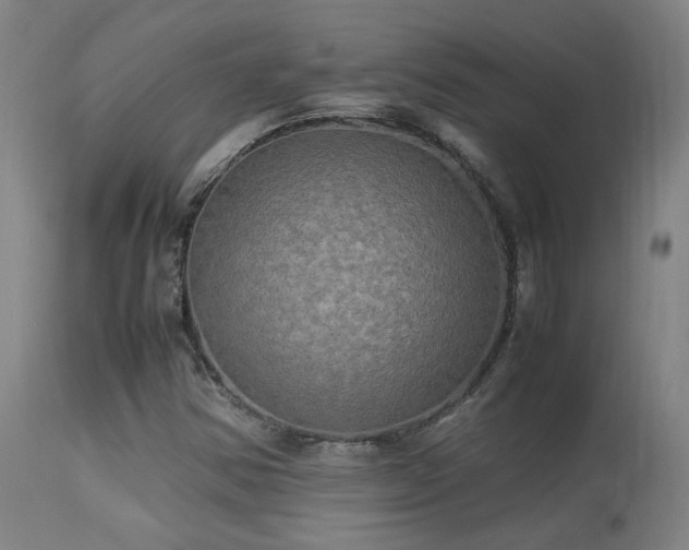 X0000113291354200909211054