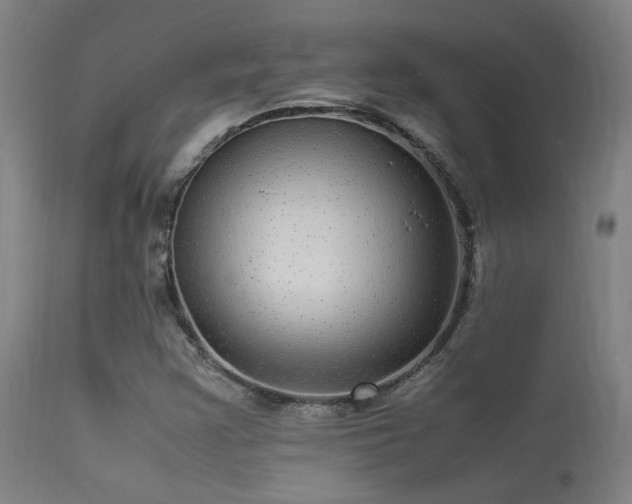 X0000113291355200909211054