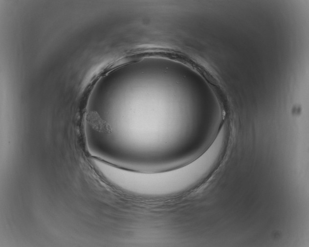 X0000113291357200909211054