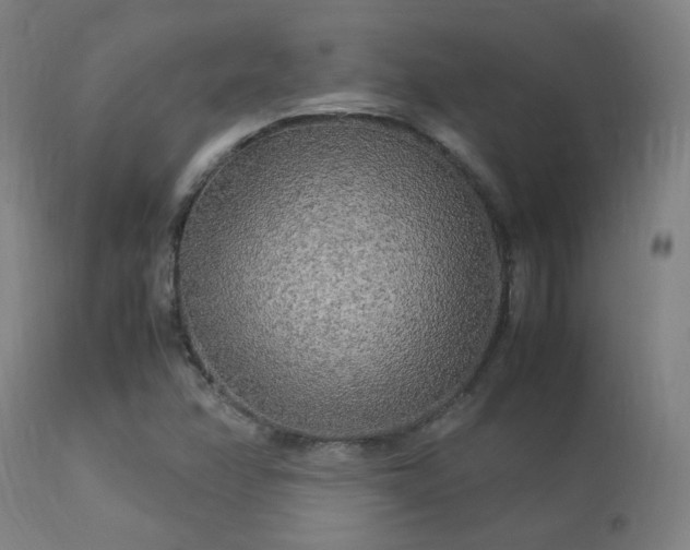 X0000113291358200909211054