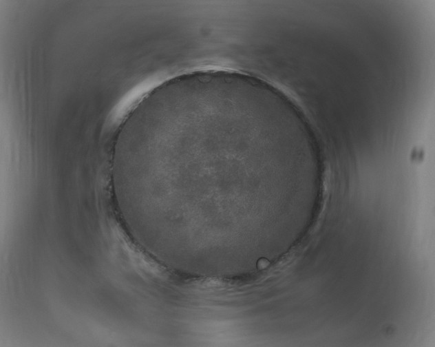 X0000113291359200909211054