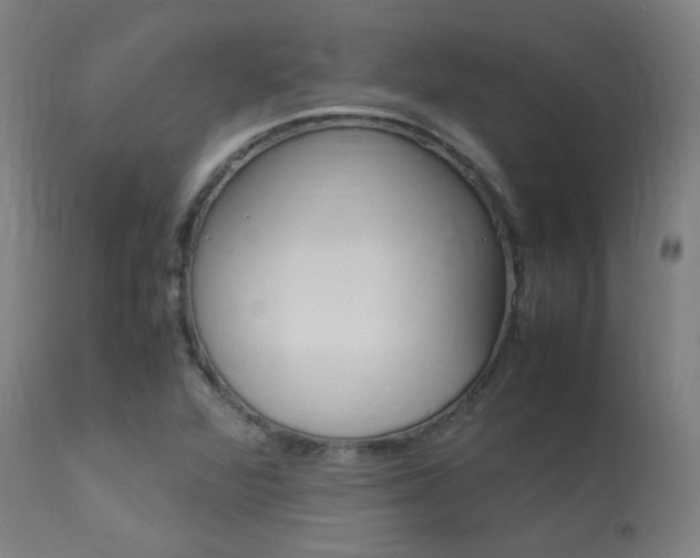 X0000113291360200909211054