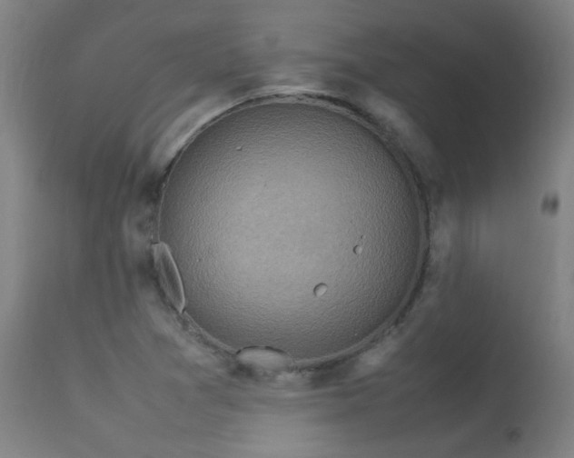 X0000113291361200909211054