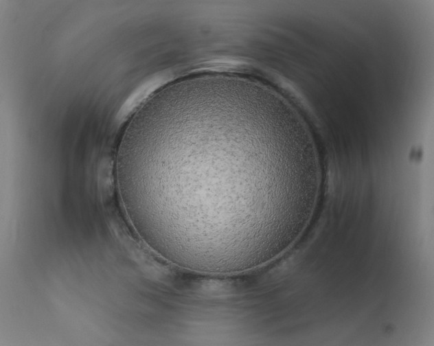 X0000113291362200909211054