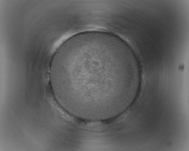 X0000113291363200909211054