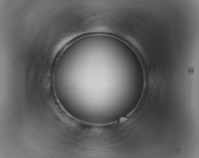 X0000113291364200909211054