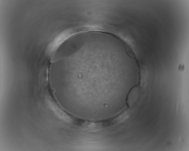 X0000113291365200909211054