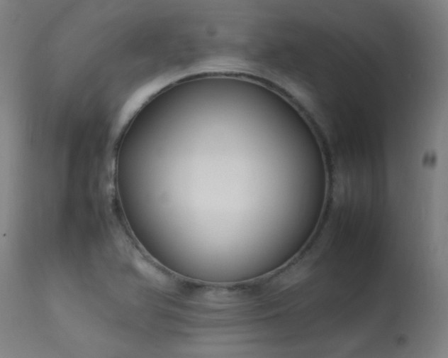 X0000113291366200909211053