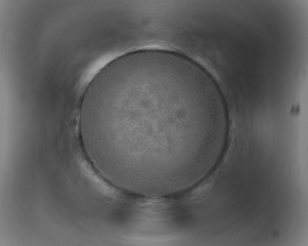 X0000113291367200909211053