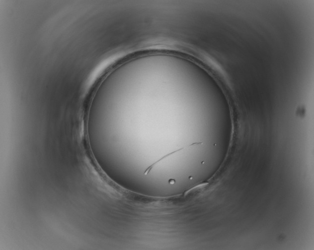 X0000113291368200909211053