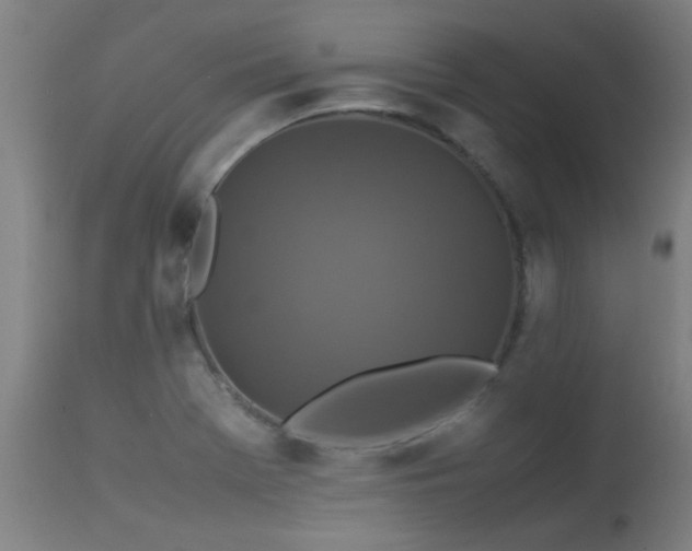 X0000113291369200909211053