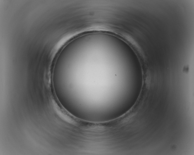 X0000113291372200909211053