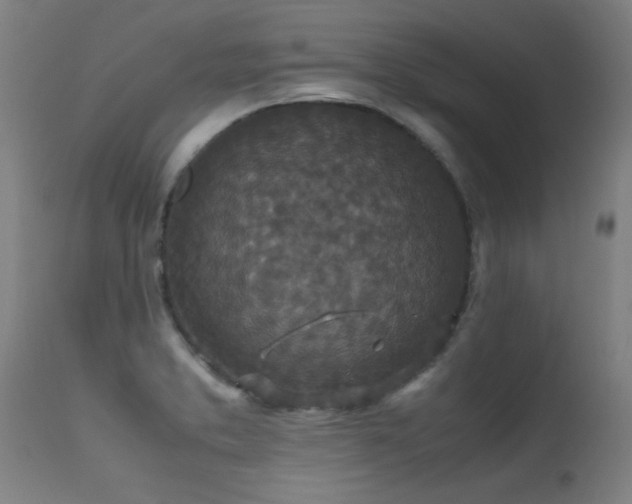 X0000113291373200909211053