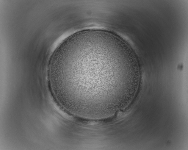 X0000113291375200909211053