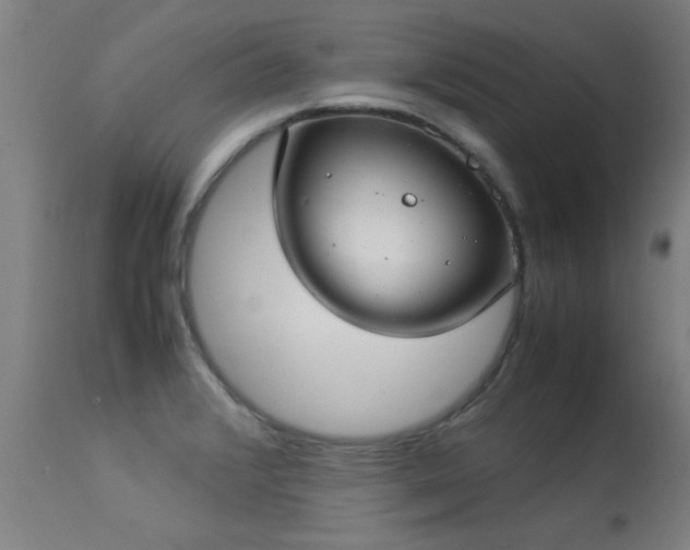 X0000113291376200909211053