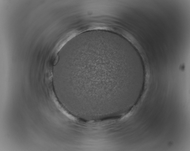 X0000113291377200909211053