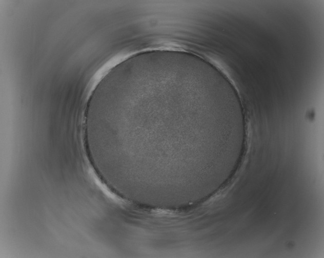 X0000113291379200909211053