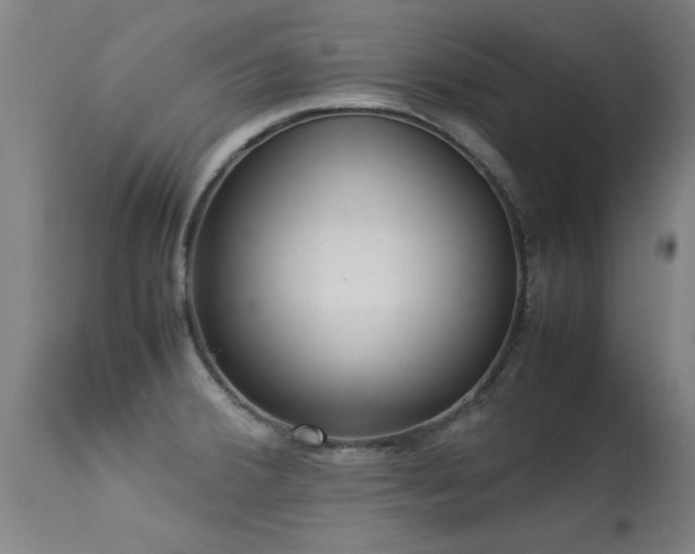 X0000113291380200909211053