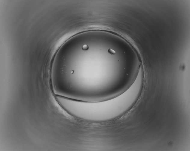 X0000113291381200909211053