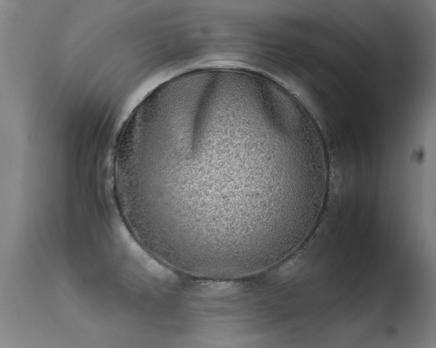 X0000113291382200909211053