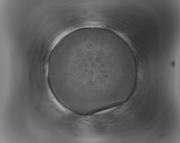 X0000113291383200909211053