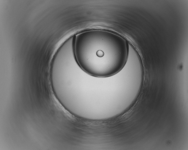 X0000113291384200909211053