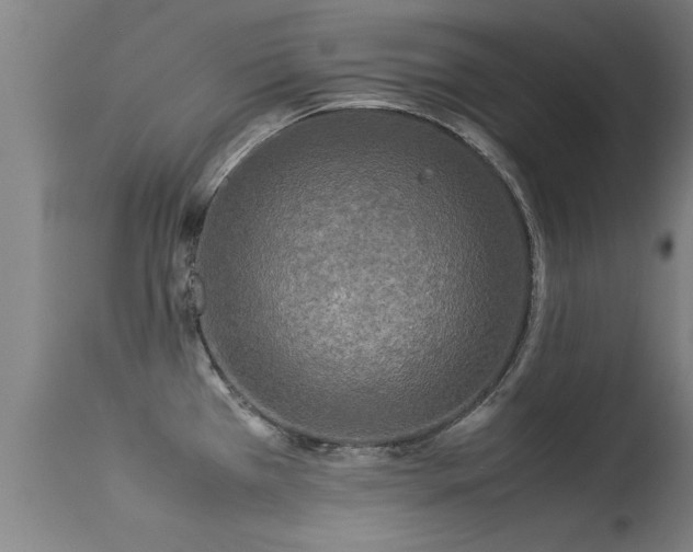 X0000113291385200909211053