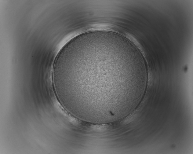 X0000113291386200909211053