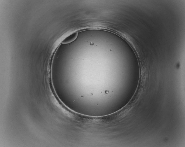 X0000113291387200909211053