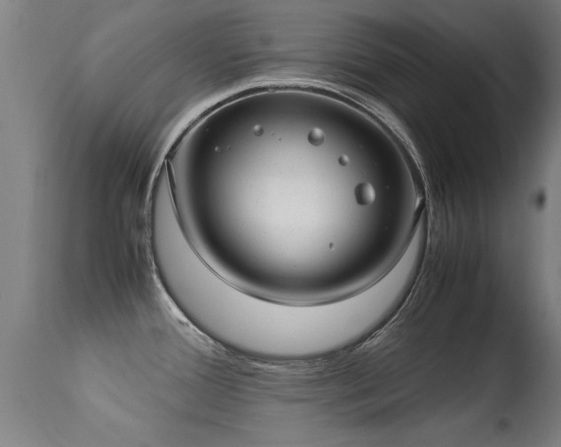 X0000113291388200909211053