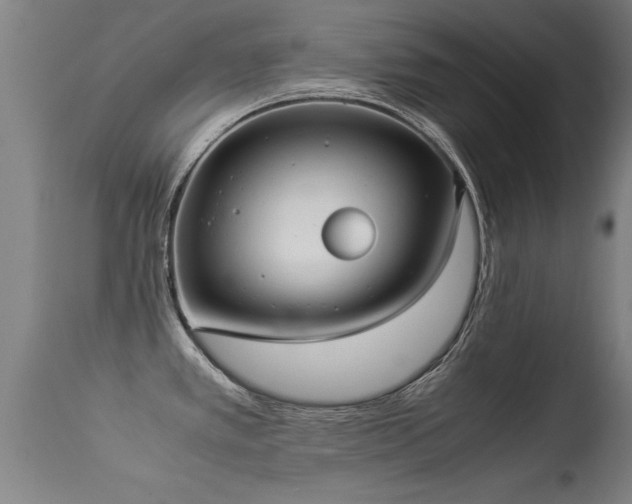 X0000113291389200909211053