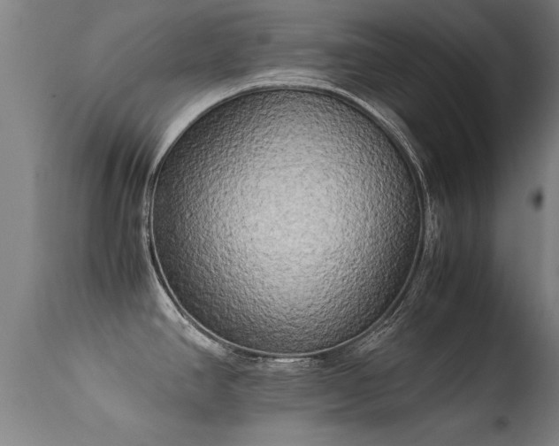 X0000113291390200909211053