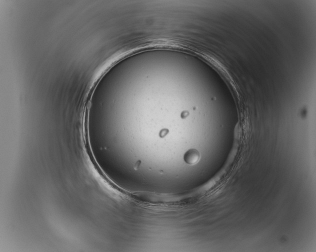 X0000113291391200909211053