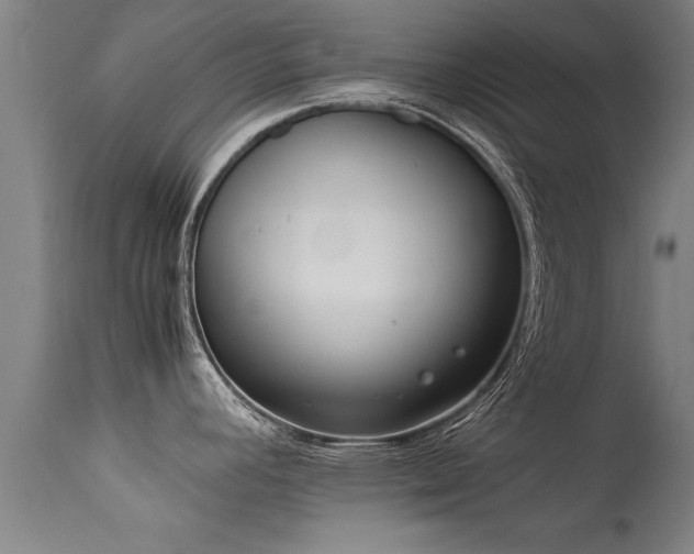 X0000113291392200909211053