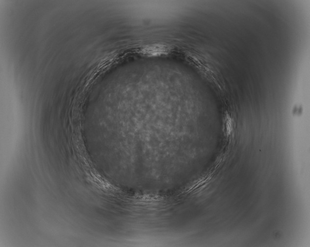 X0000113291393200909211052