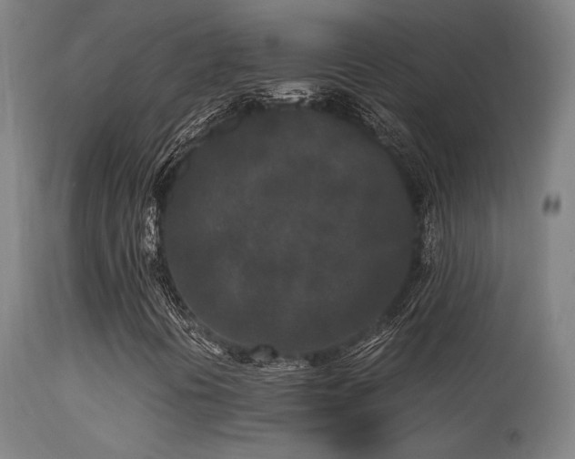 X0000113291394200909211052