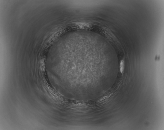 X0000113291395200909211052