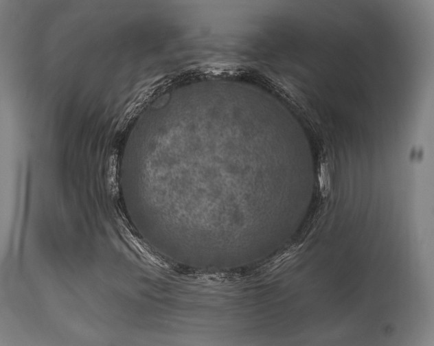 X0000113291396200909211052