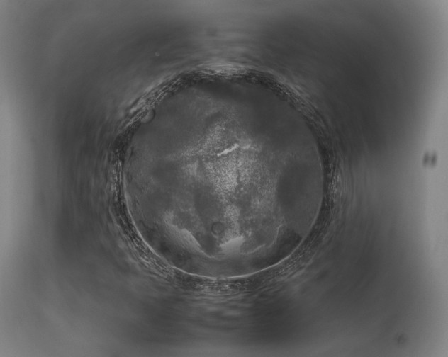 X0000113291397200909211052