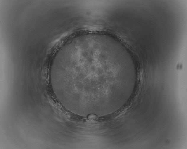 X0000113291398200909211052