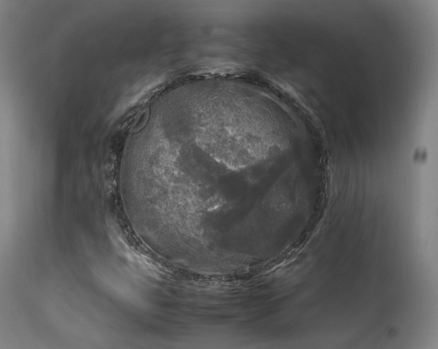 X0000113291399200909211052