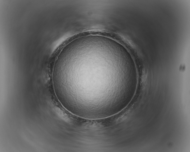 X0000113291400200909211052