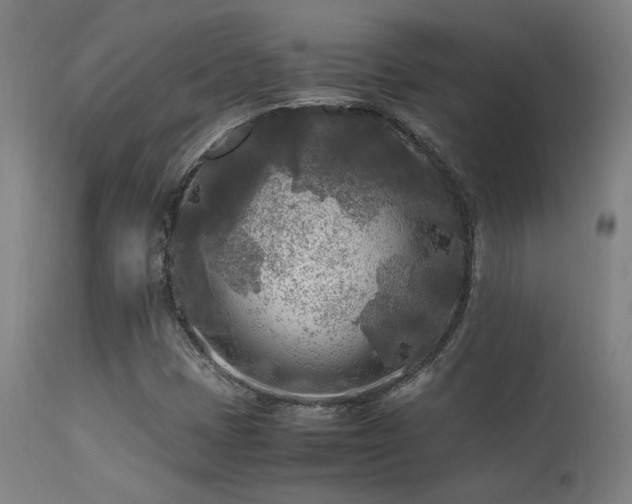 X0000113291401200909211052