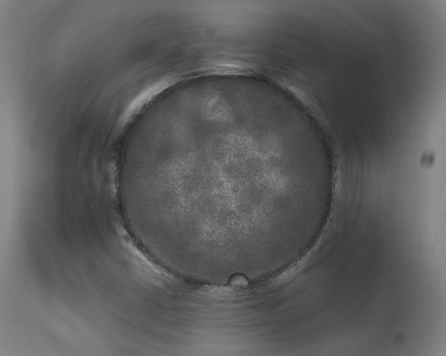 X0000113291402200909211052