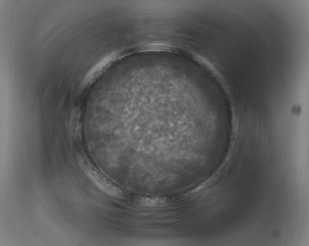 X0000113291403200909211052