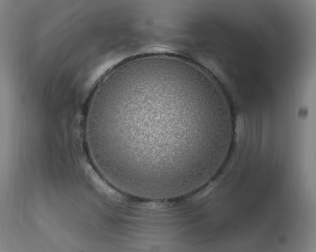 X0000113291404200909211052