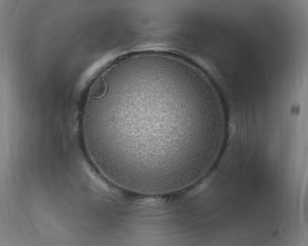 X0000113291406200909211052